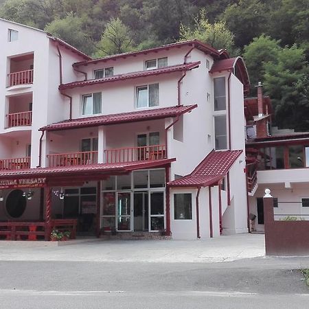 Pensiunea Versant Hotel Băile Herculane Exterior foto